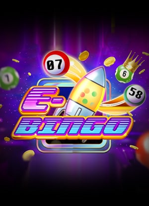 Bingo 3 Online Game