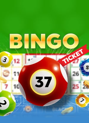 Bingo 37 Online