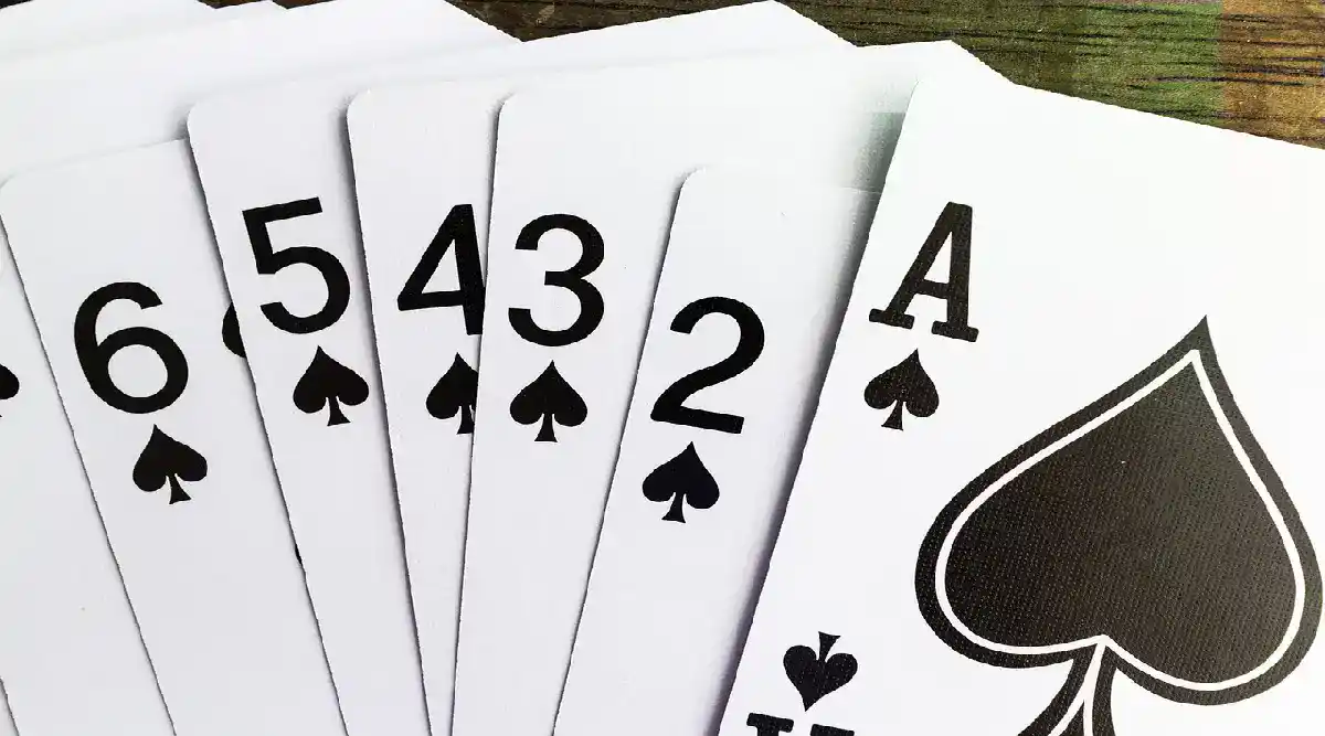 Six Card Charlie Blackjack Guide