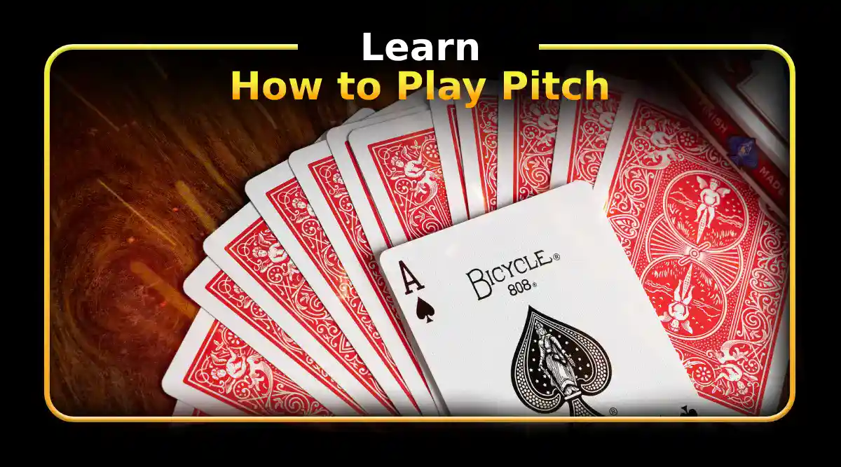 How to Play the Card Came Pitch