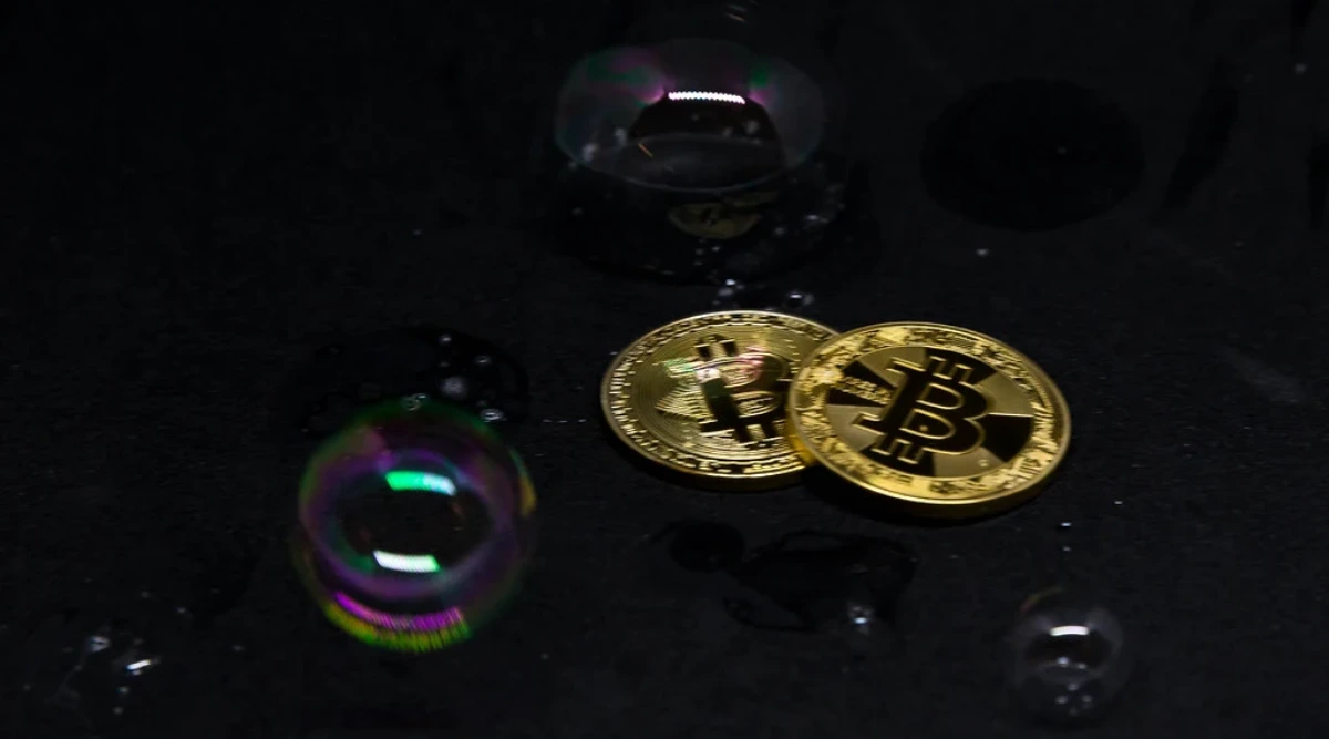 The Crypto Bubble: Crypto Craze, a Bubble’s Blaze