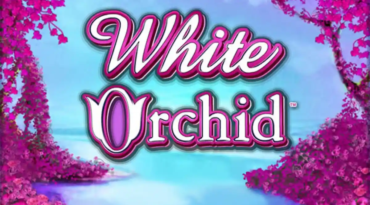 White Orchid Slots: Experience the Pulse of the Rainforest With Every Spin