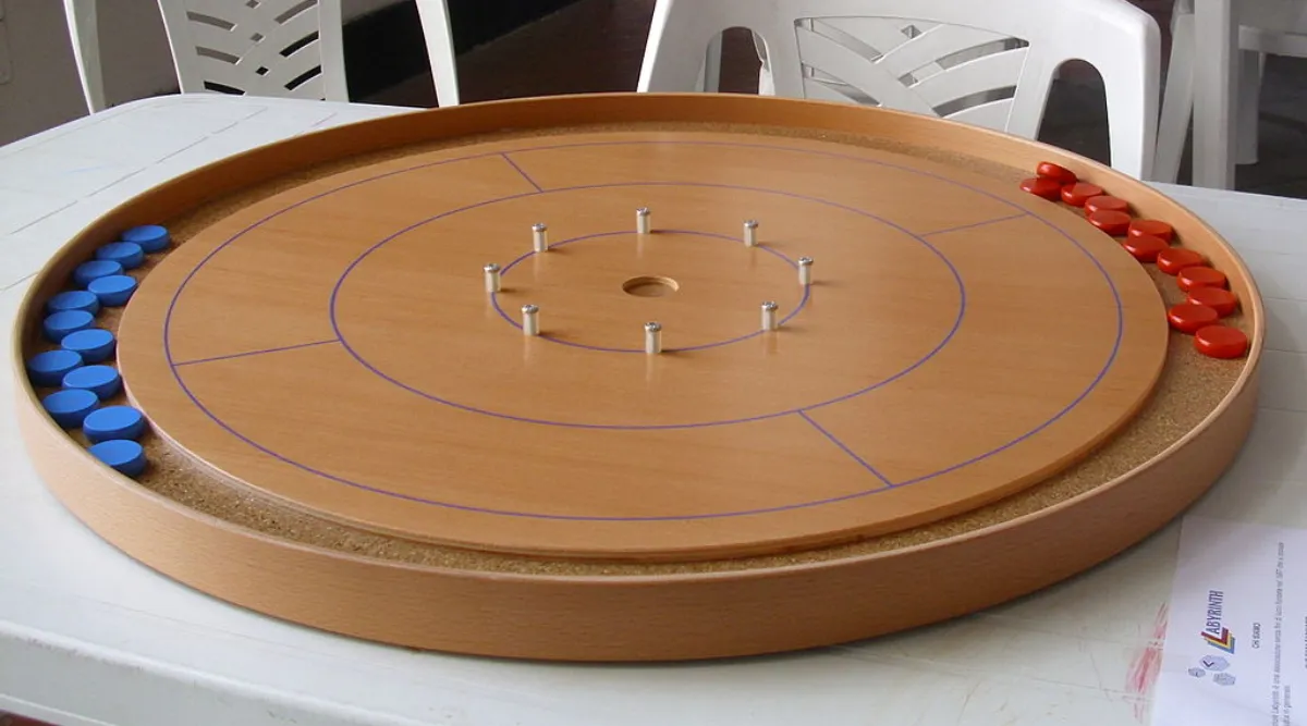 Crokinole Game: Can You Hit the Target?