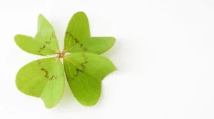 Luck vs. Strategy: Irish Myths That Might (or Might Not) Boost Your Casino Game